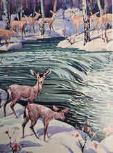 Load image into Gallery viewer, A. C. Leighton - Card Pack (4) A. C. Leighton