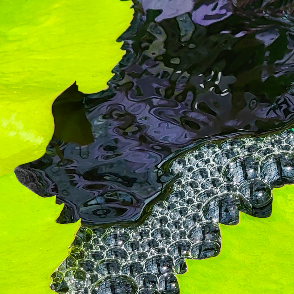 Cathie Aalders-Taylor - Abstract 1 (Green)