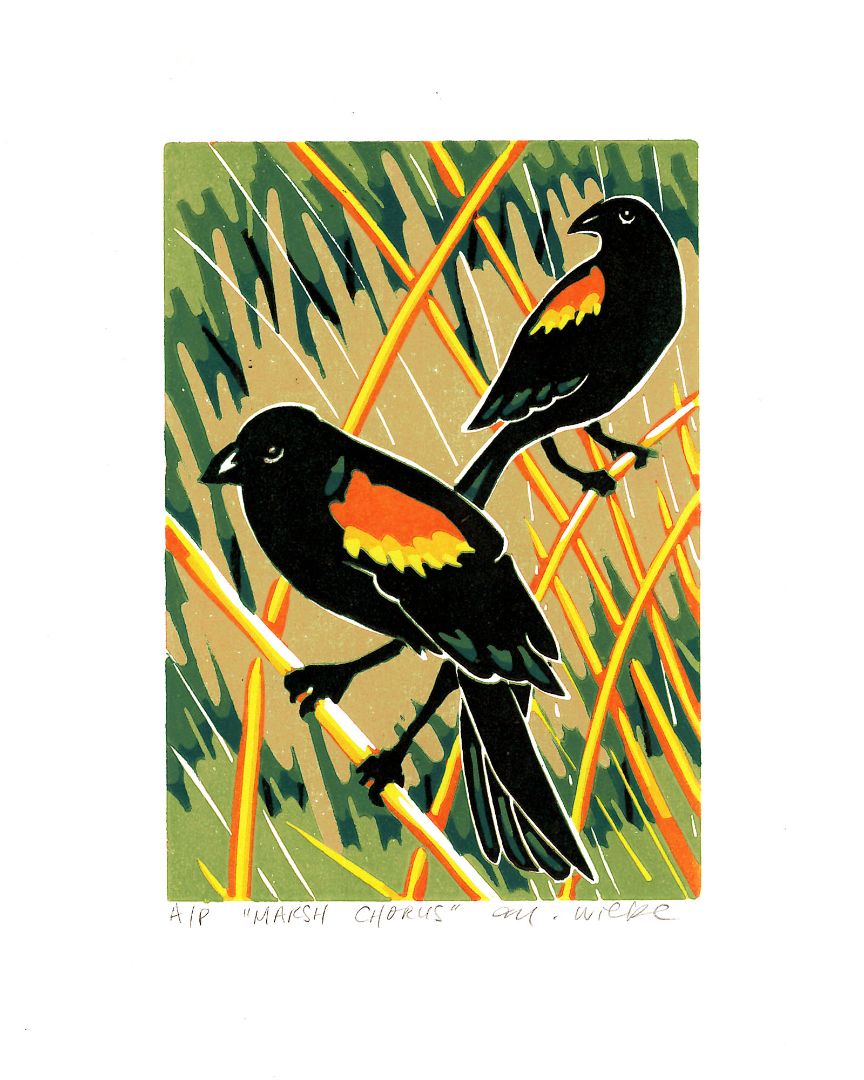 Michelle Wiebe - Marsh Chorus