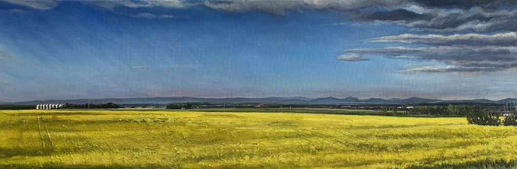Anke Duffy - Canola Field, Gladys Ridge