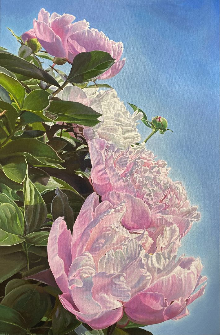 Anke Duffy - Cascading Peonies