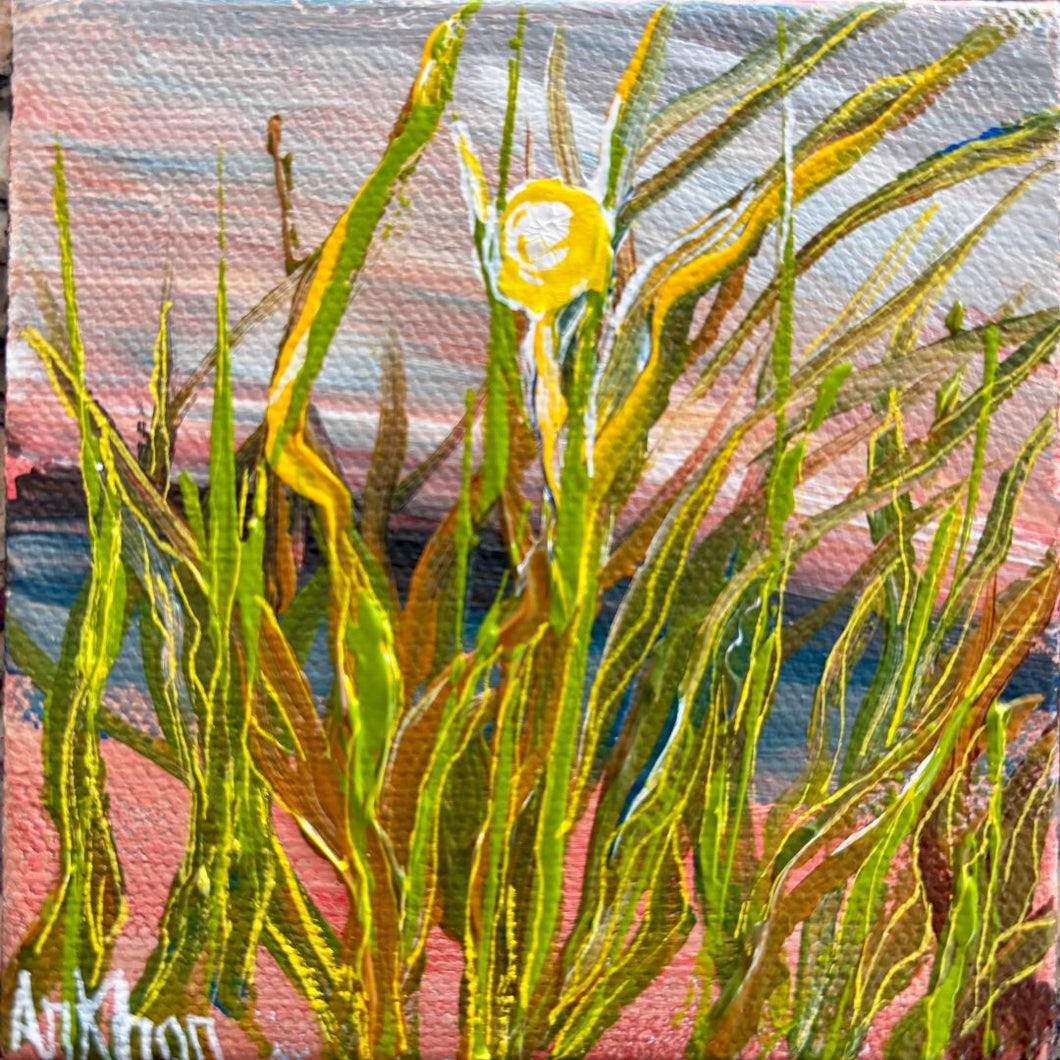 Afshan Khan - Mini Nature 14