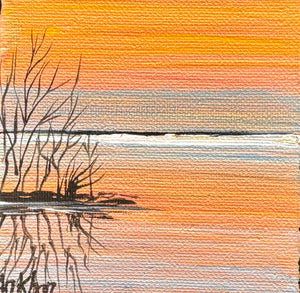 Afshan Khan - Mini Nature 12