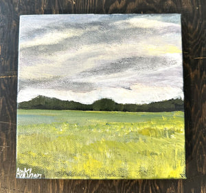 Afshan Khan - Open Skies