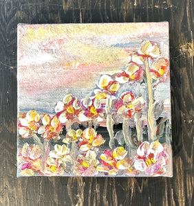 Afshan Khan - Sunset in the Mountains
