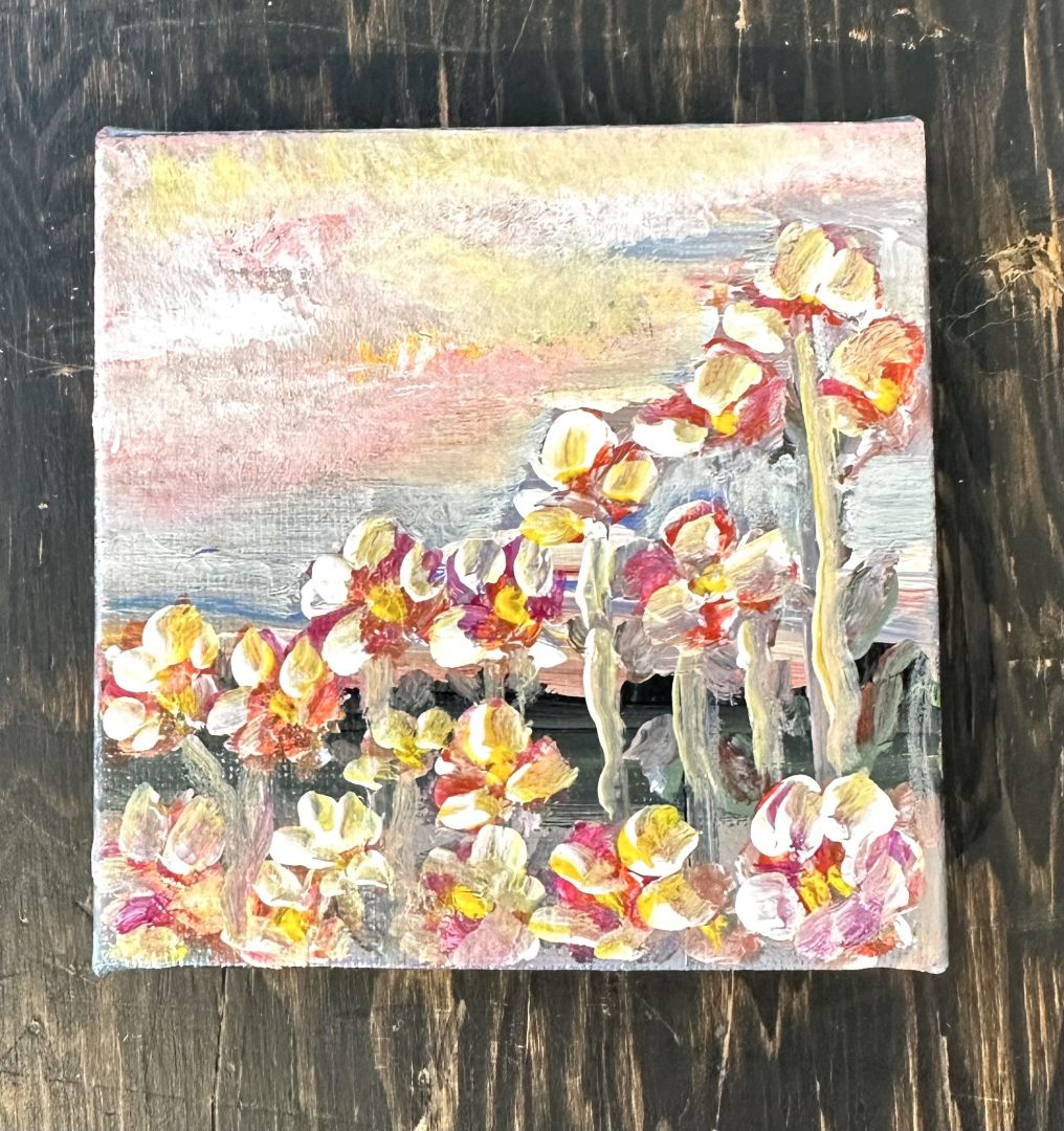 Afshan Khan - Sunset in the Mountains