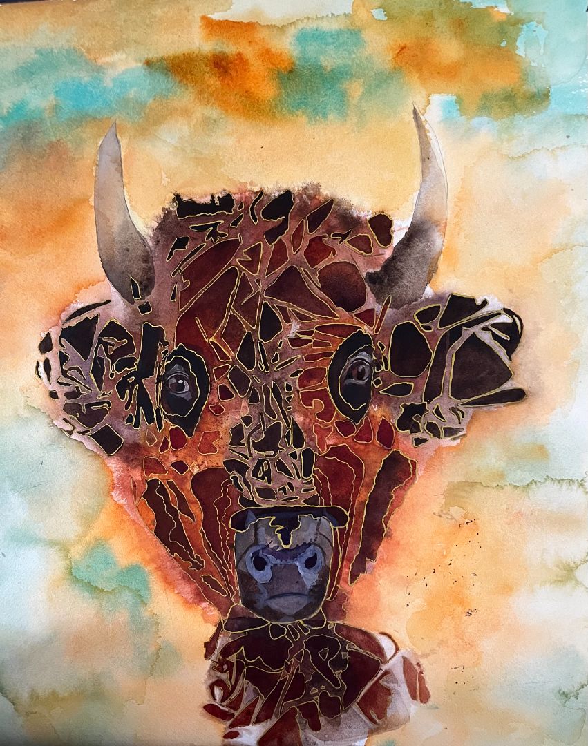 Alison Evans Killam - Bison