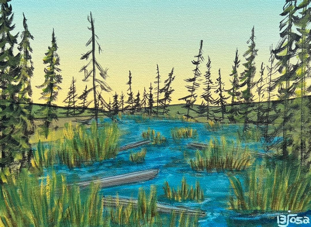 BJ Sosa - Beaver Marsh