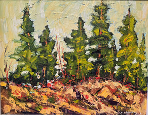 Lois Bauman - Spring Spruce LB6250