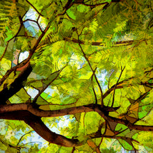 Load image into Gallery viewer, Cathie Aalders-Taylor - Trembling Leaves
