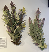 Load image into Gallery viewer, Bridget Fairbank - Fireweed After Fire
