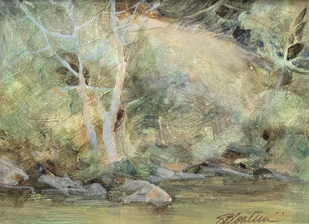 Sue Contini - Birth of a Forest