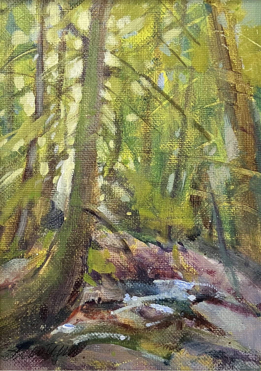 Sue Contini - Cedar Woods
