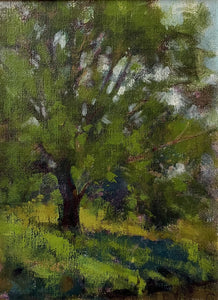 Sue Contini - Going Solo