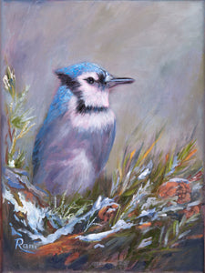 Rani Crawford - Blue Jay