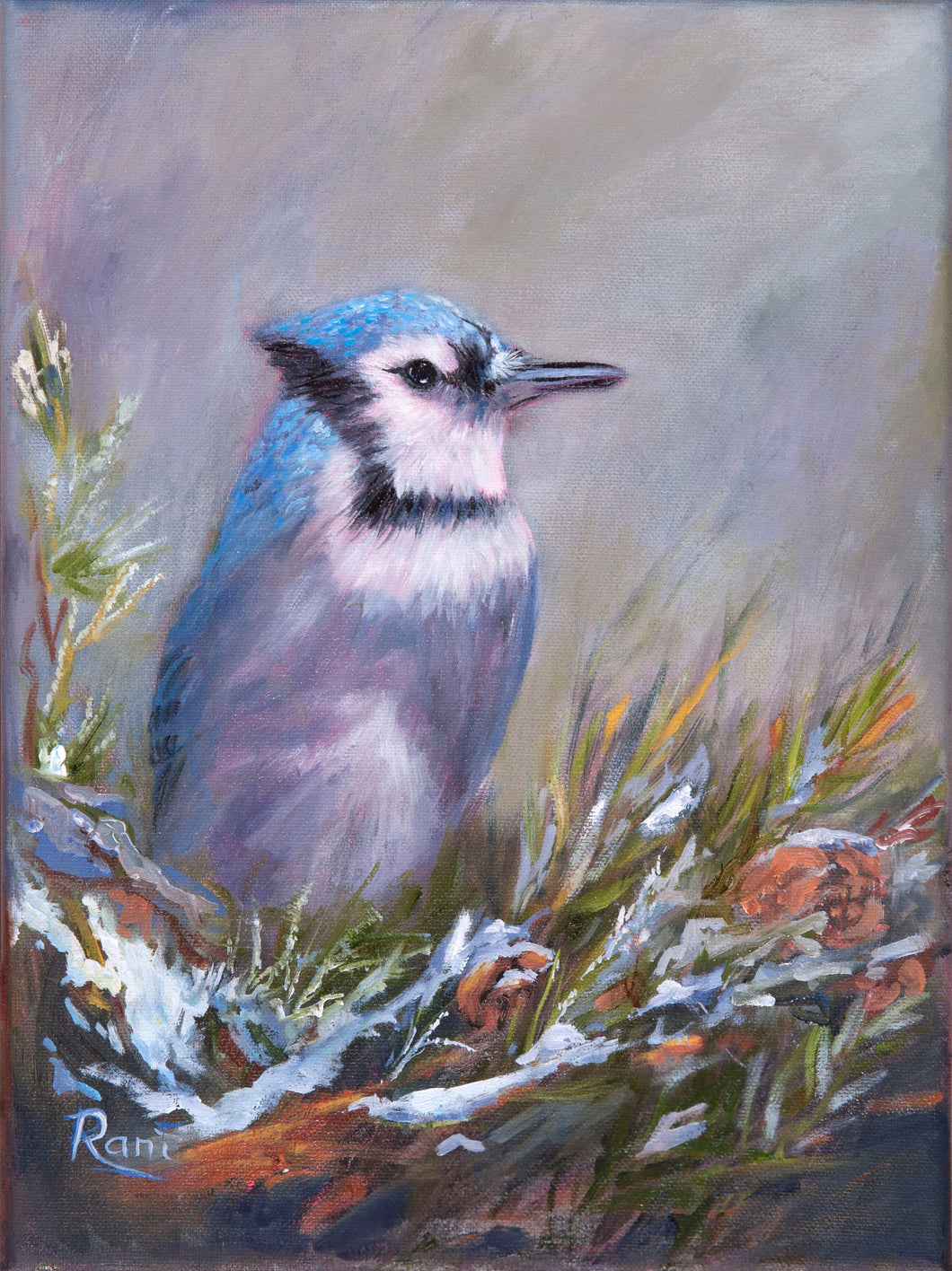 Rani Crawford - Blue Jay