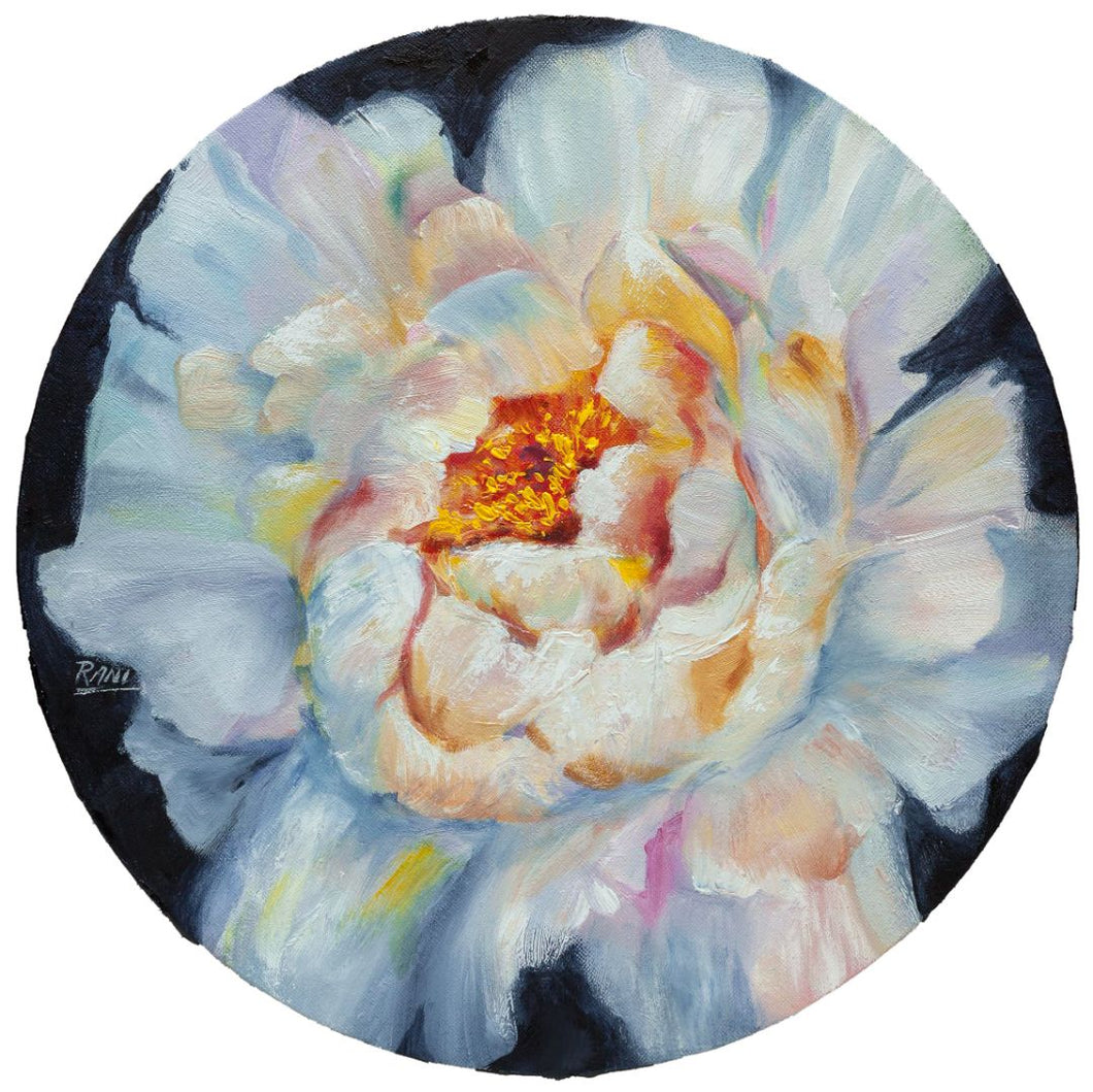 Rani Crawford - Peony