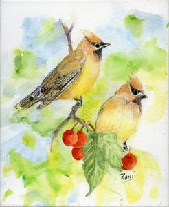 Rani Crawford - Waxwings