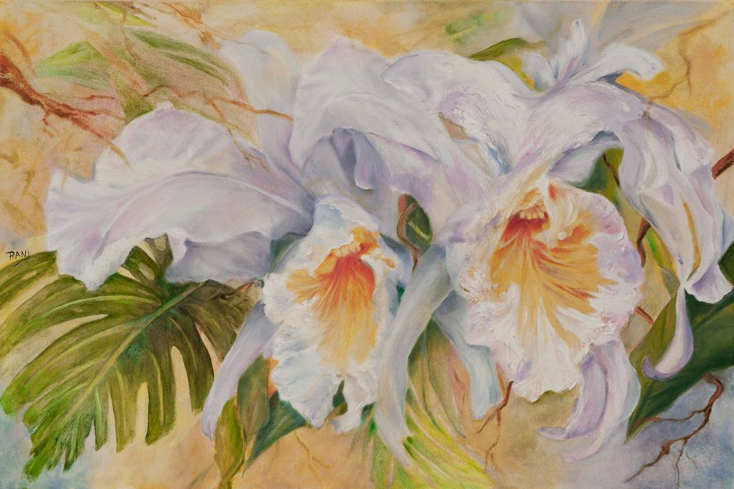 Rani Crawford - Orchids