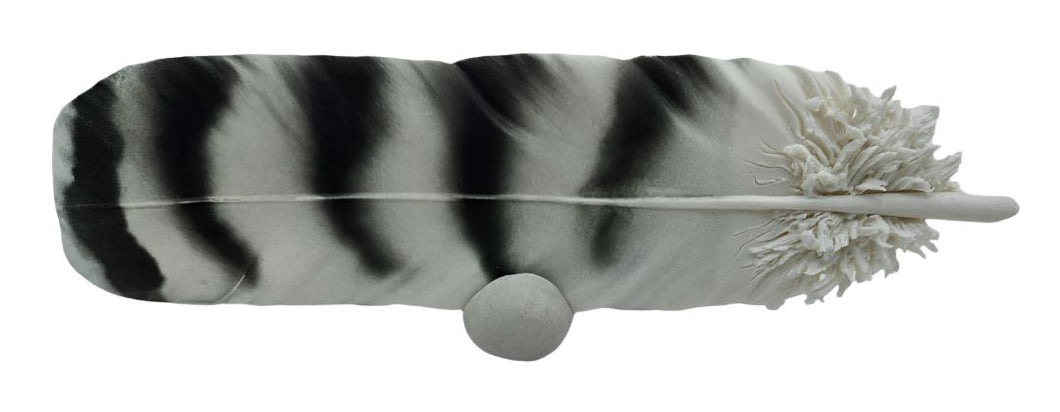 Marney Delver - Owl Feather