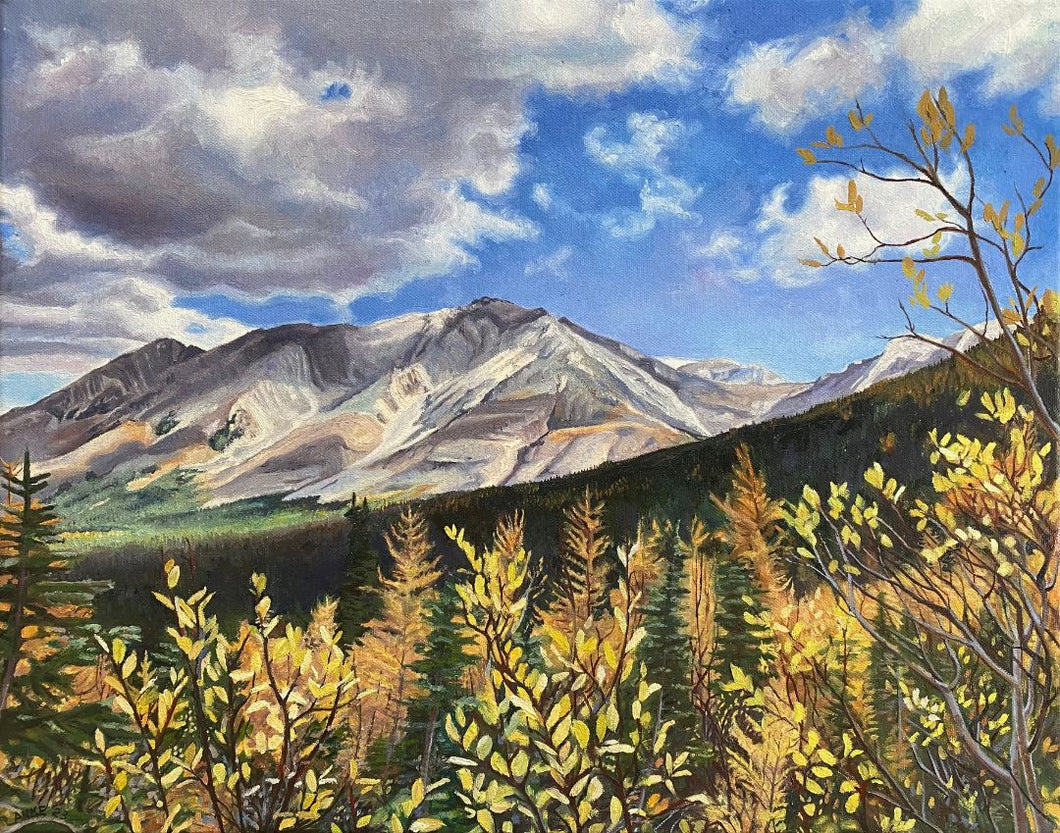 Anke Duffy - Pocaterra Ridge View