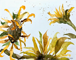 Sandy Evans - Watercolour,  8x12