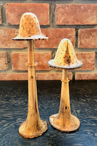 Joe van Keulen - Alder Mushroom