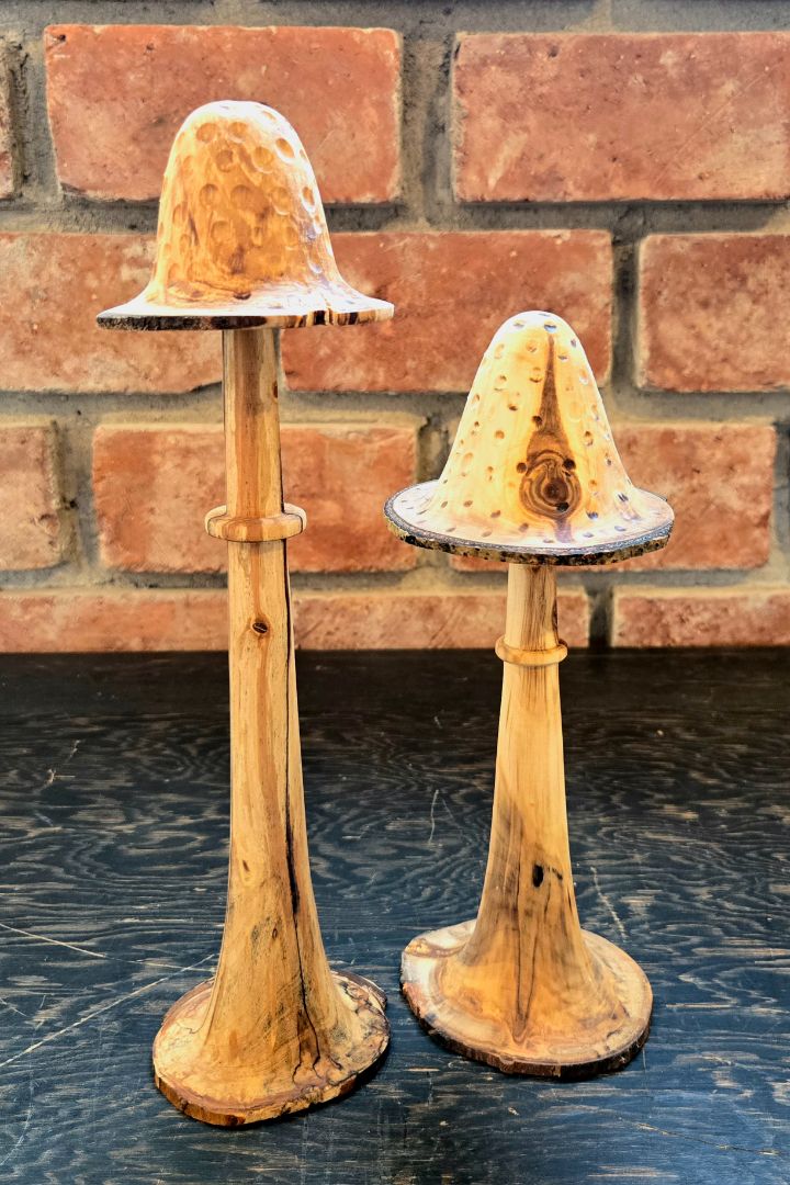 Joe van Keulen - Alder Mushroom