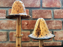 Load image into Gallery viewer, Joe van Keulen - Alder Mushroom
