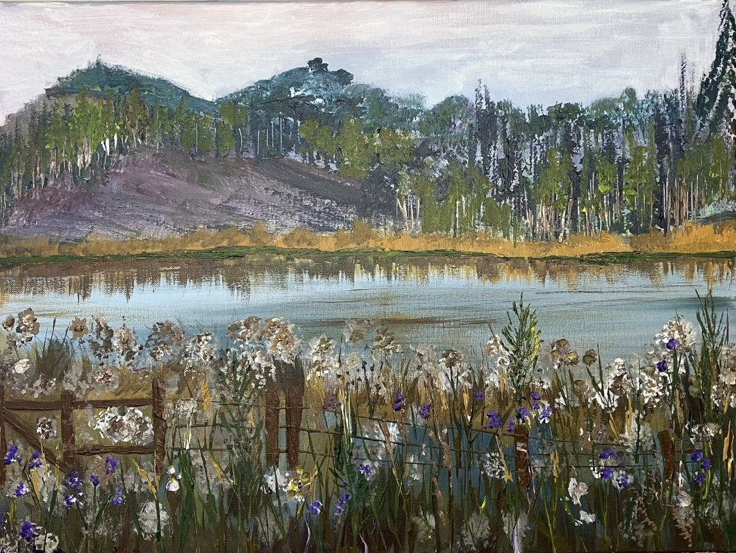 Afshan Khan - Moose Pond