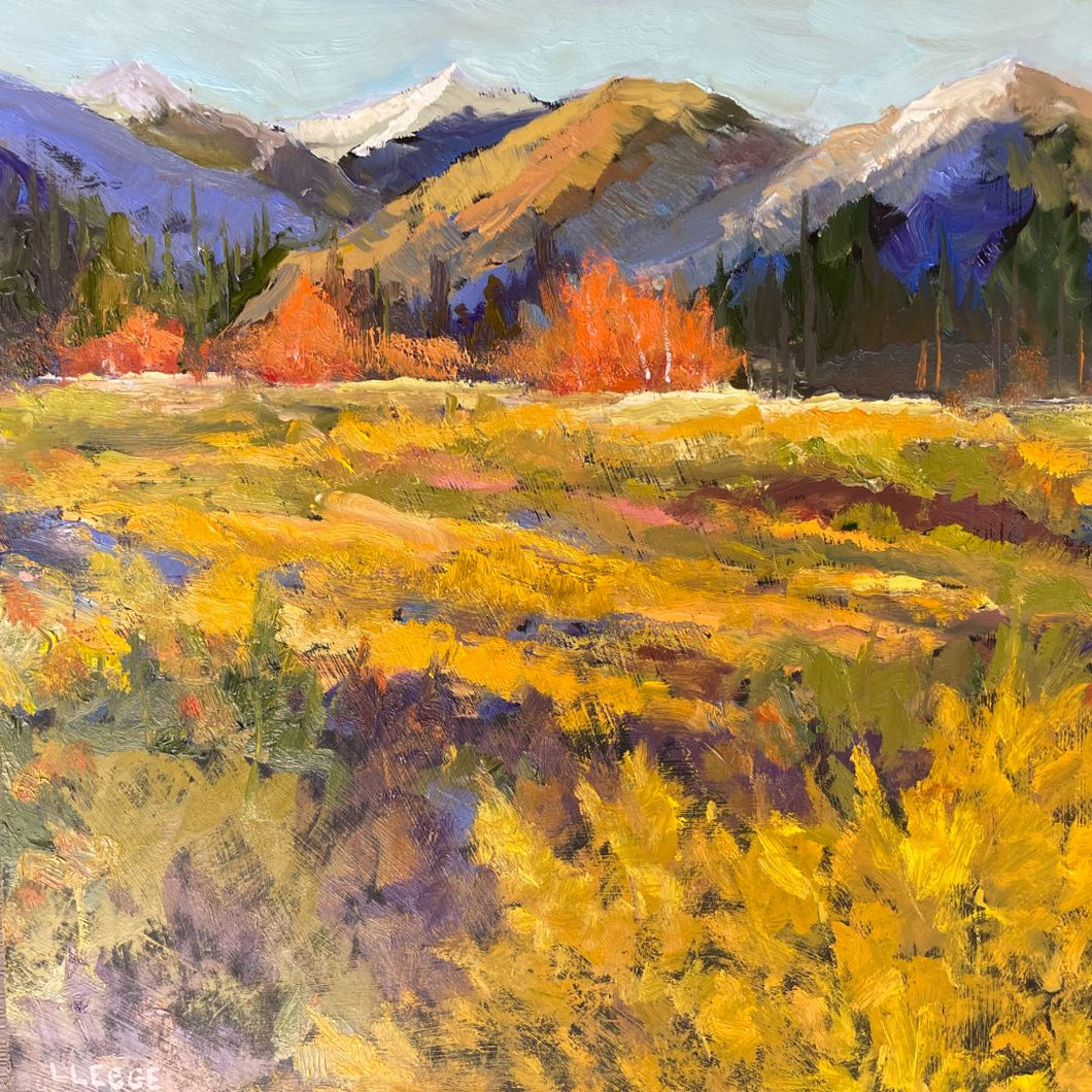 Lissi Legge - Western Outlook