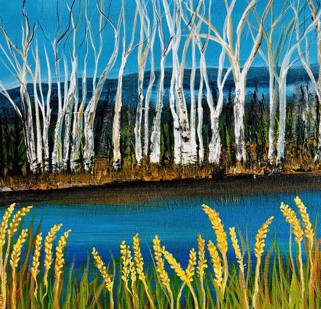 Afshan Khan - Alberta