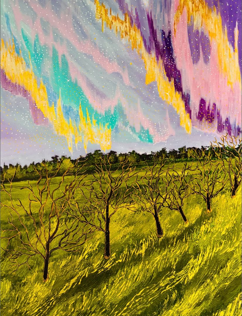 Afshan Khan - The Unknown