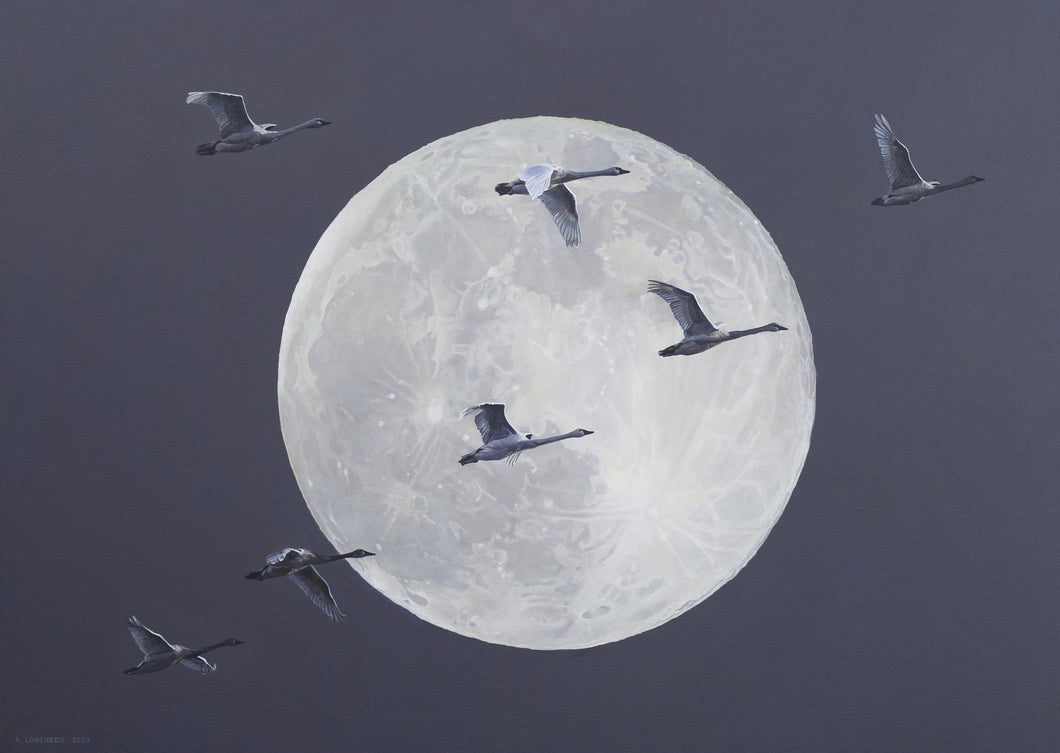 Angela Lorenzen - Moonlight Migration