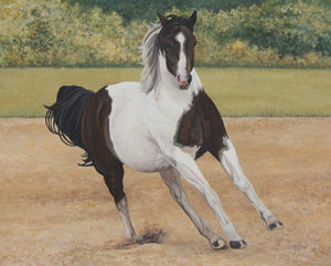 Angela Lorenzen - Paint Horse #1