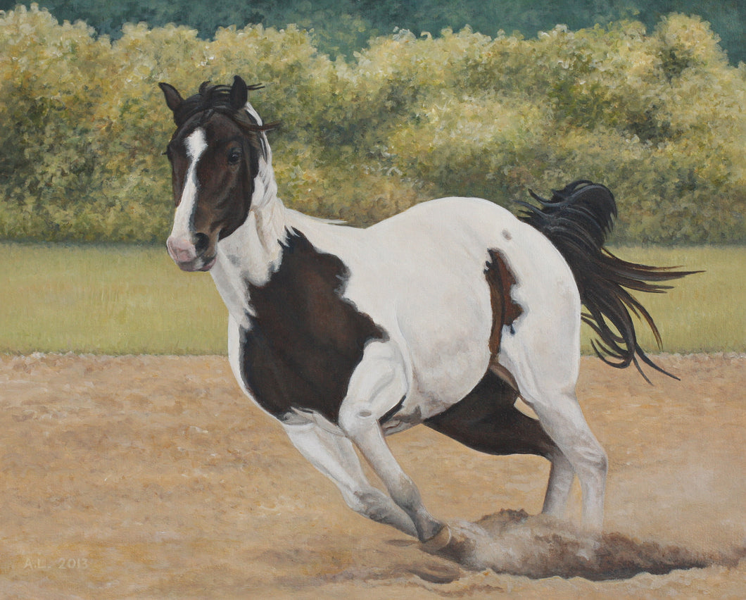 Angela Lorenzen - Paint Horse #2