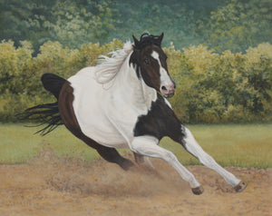 Angela Lorenzen - Paint Horse #3