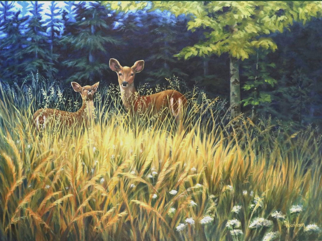 Deb Nicolaisen - Curiosity and Caution