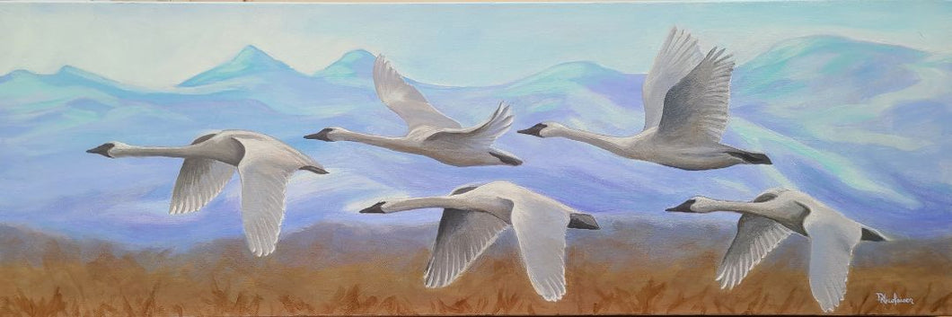 Deb Nicolaisen - The Sky's The Limit