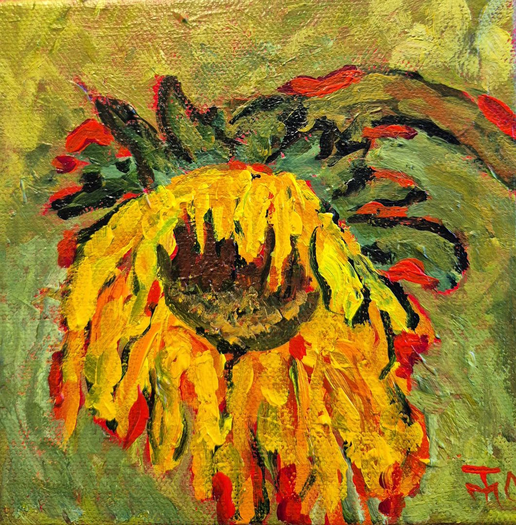 Tatianna O'Donnell - Evening Sunshine