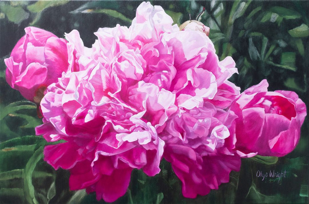 Olya Wright - Magnificent Magenta