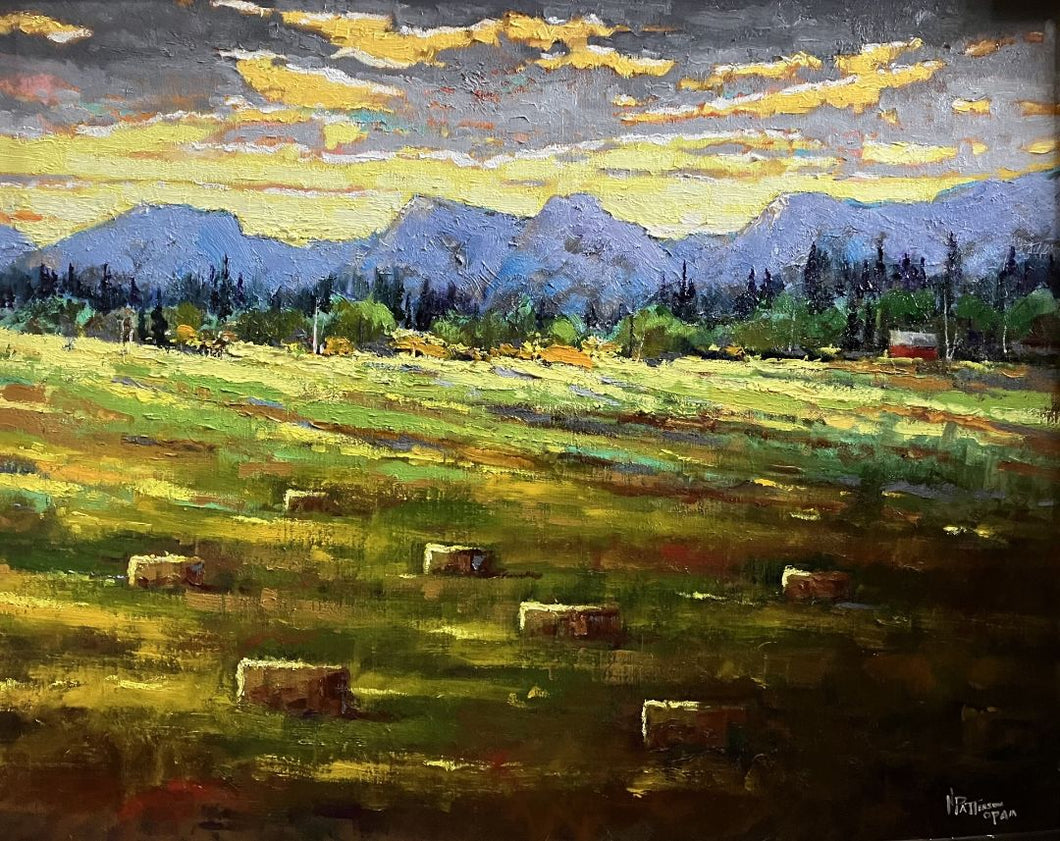 Neil Patterson - Chinook Hayfield