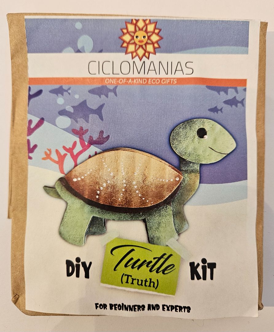 Elizabeth Romo-Rabago - DIY Kit Turtle