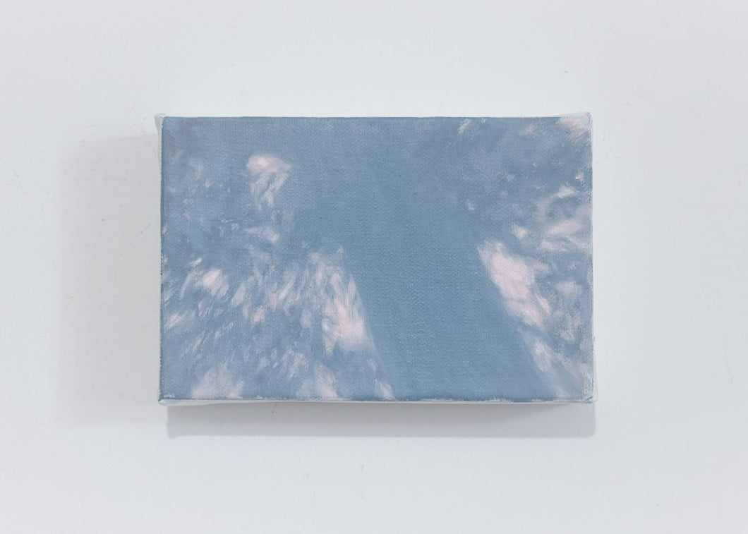 Wanru Kemp - Shadows of the Sheep River Pass #5