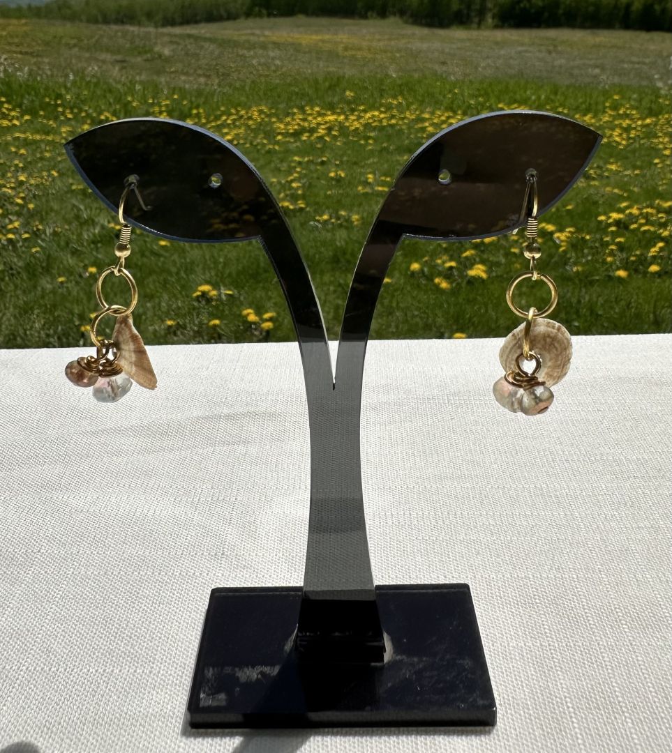 Dawn Heinemeyer - Earrings Shell