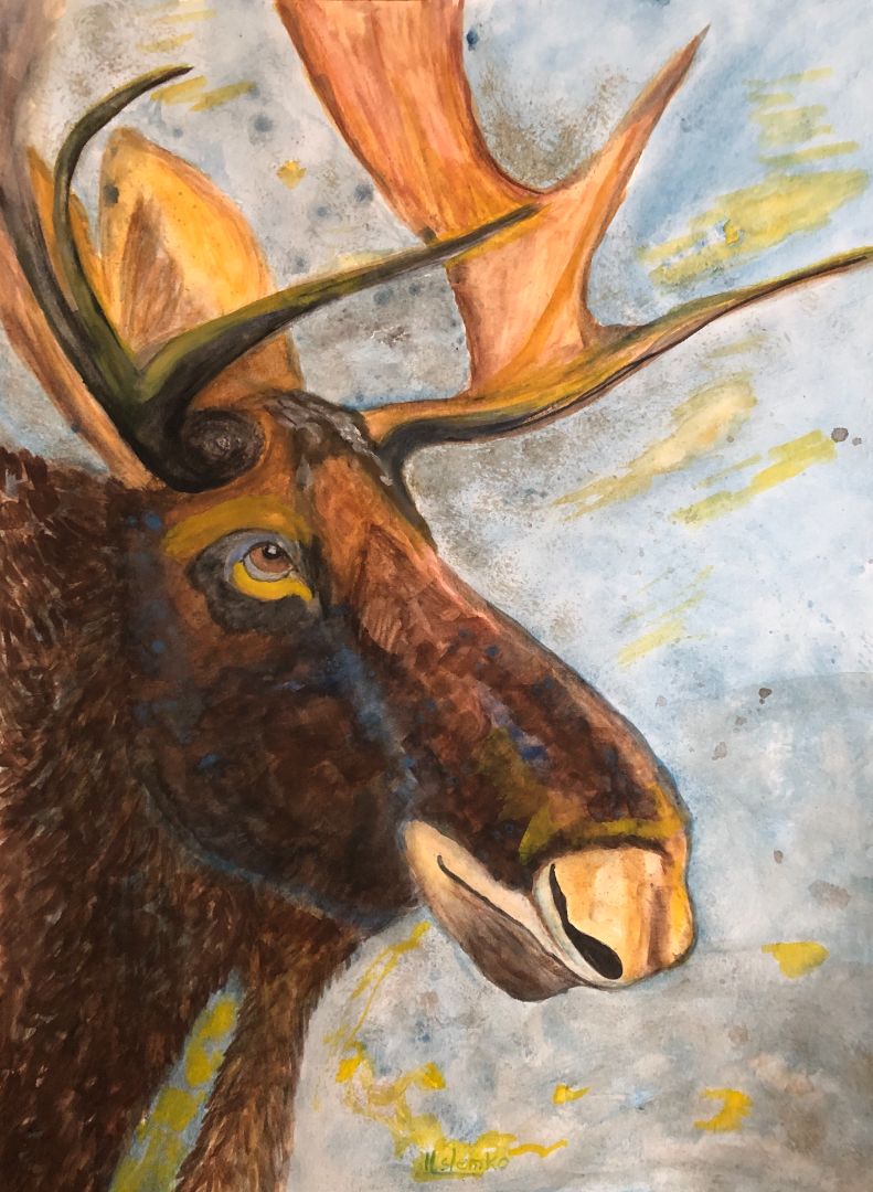Linda Slemko - Moose