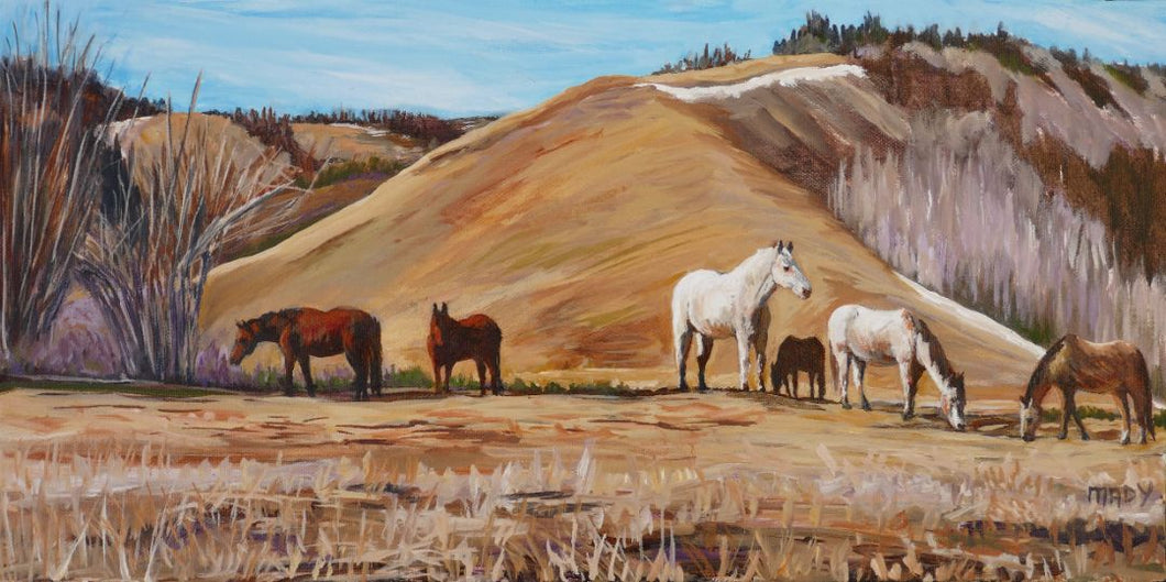 Mady Thiel-Kopstein - Muley Ridge
