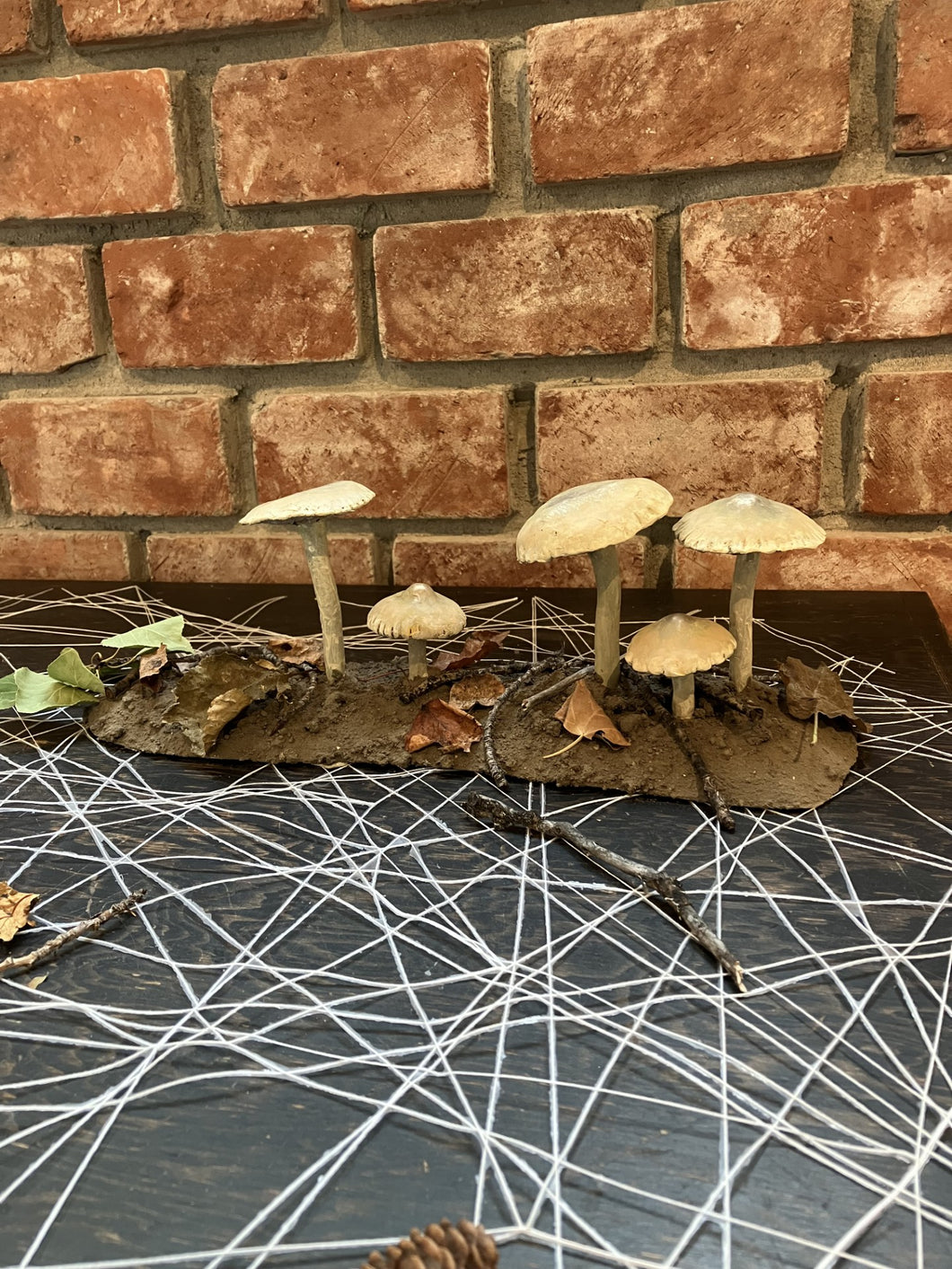 Troy Nickle - Fantastic Fairy Ring Fungi