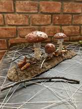 Load image into Gallery viewer, Troy Nickle - The Fabled Fly Agaric
