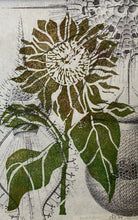Load image into Gallery viewer, Arlene Westen - Framed Sunflower

